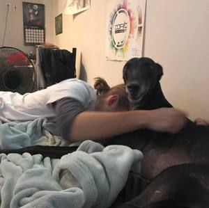 Meet your Posher, Jakob